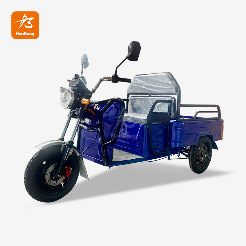Electric Leisure 3 Wheeler Cargo Tricycle with EEC Certification